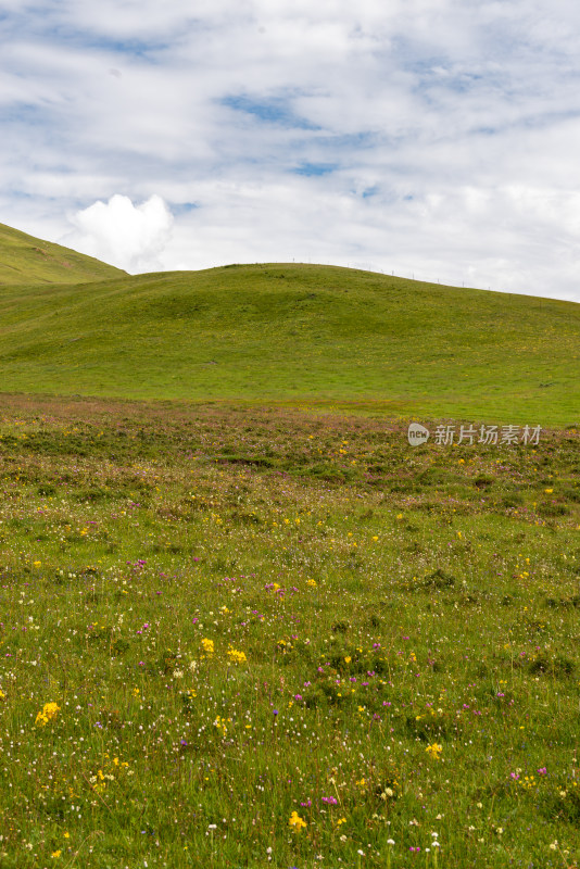 蓝天白云草原风景