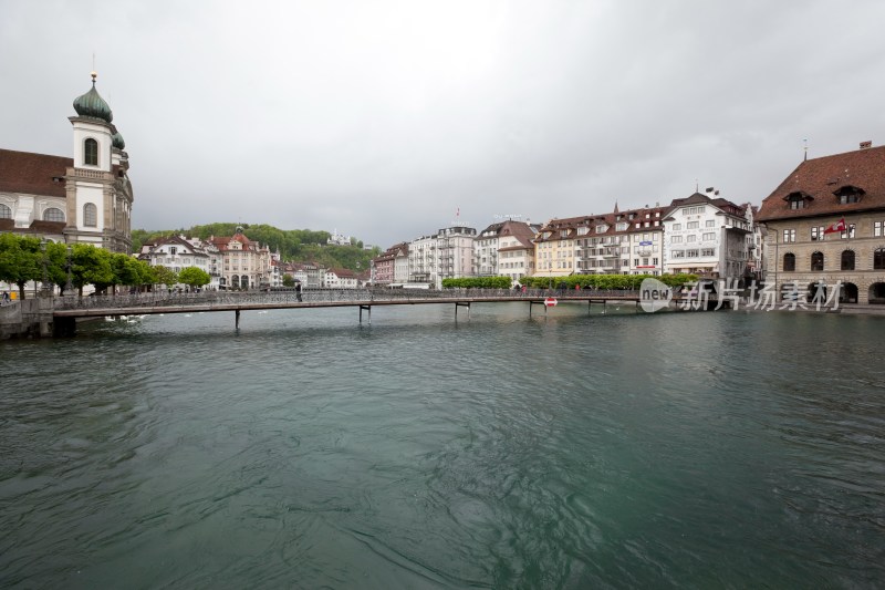 瑞士卢塞恩湖天鹅