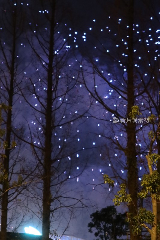 夜光烟花般的星光森林