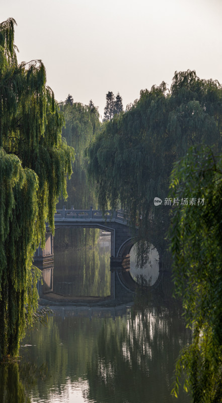 山东济南大明湖风景区自然景观与城市风光