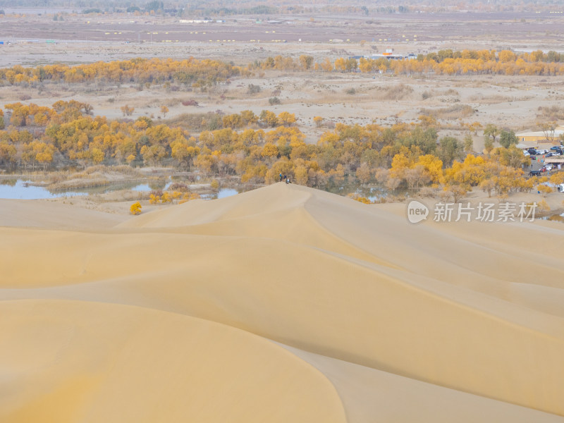 新疆南疆巴州葫芦岛金秋沙漠水上胡杨林航拍