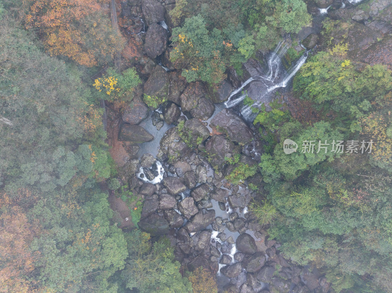 航拍四川雅安龙苍沟山林溪流秋景