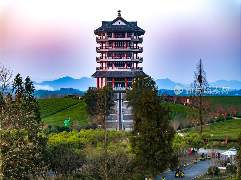 贵州遵义湄潭茶海