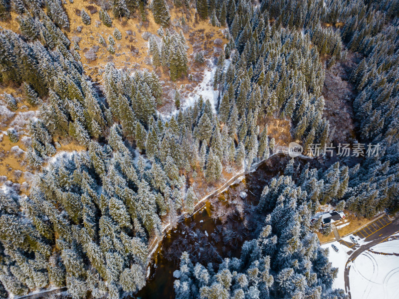 冬天的森林雪景