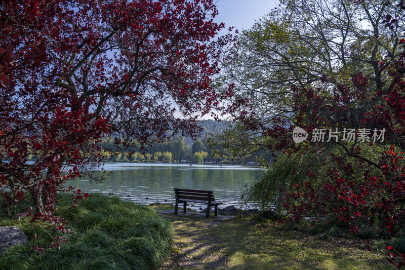 杭州西湖花港观鱼风景