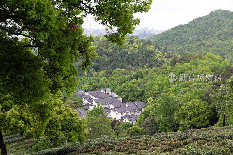 杭州龙井茶园俯瞰西湖全景与城市风光