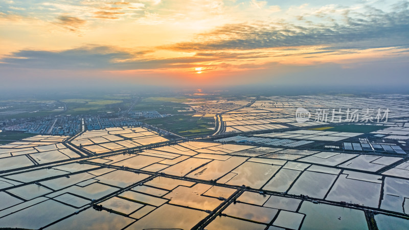 湖北江汉平原的连片养殖鱼塘与夕阳