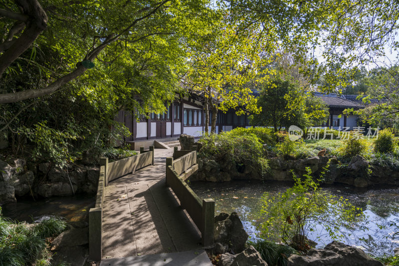 杭州西湖风景区曲院风荷风景