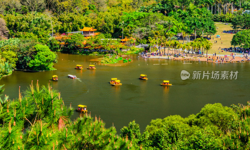 深圳仙湖植物园湖泊游船与碧绿树林