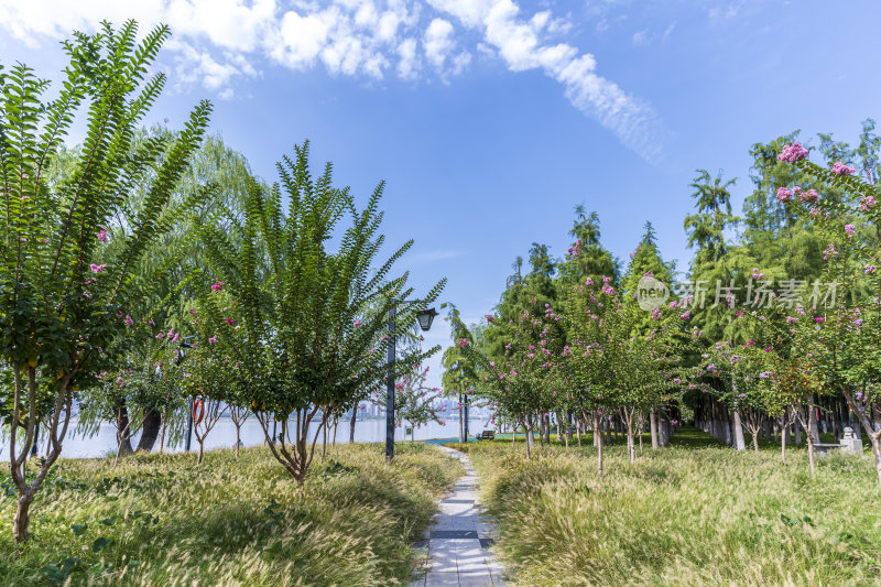 武汉武昌江滩公园风景