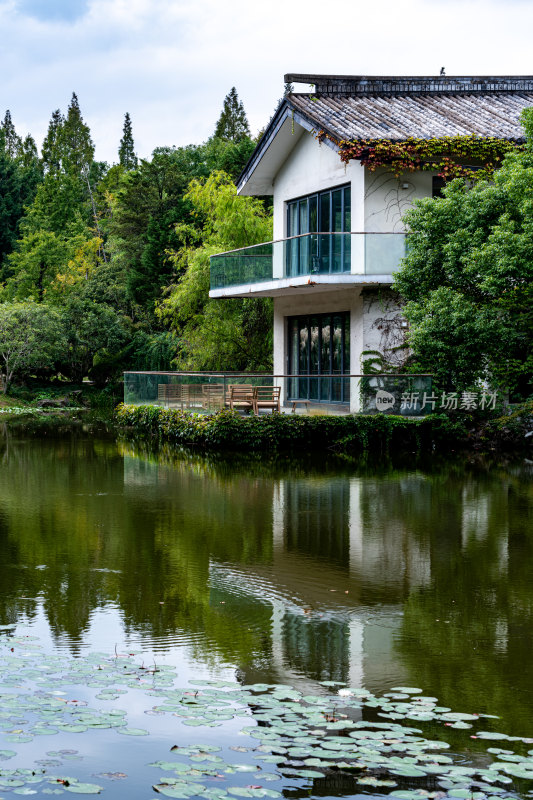 上海植物园自然风景景点景观