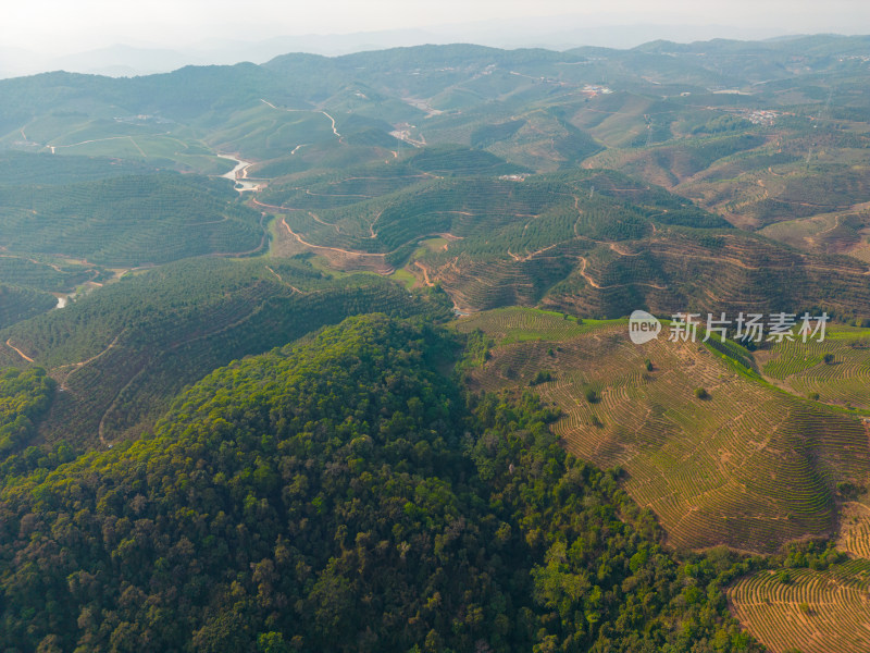 航拍山脉山林