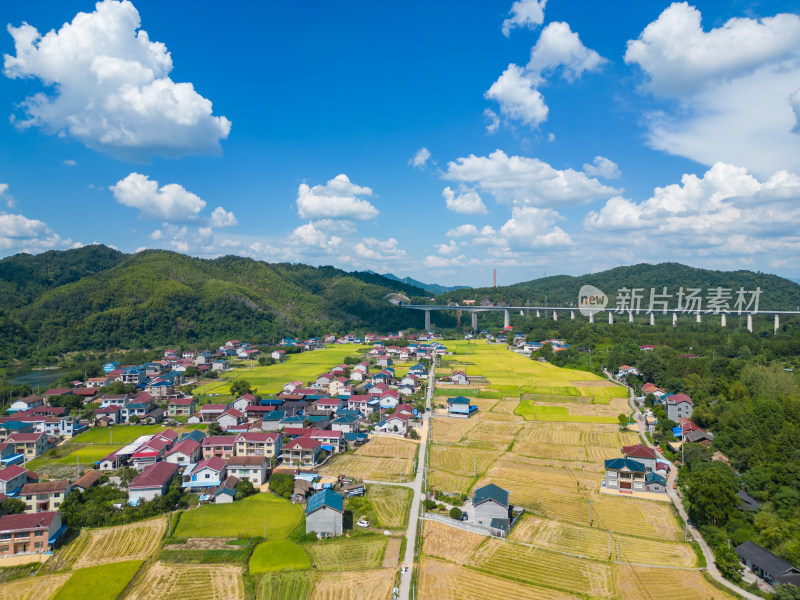 农村振兴美丽乡村农业农田航拍