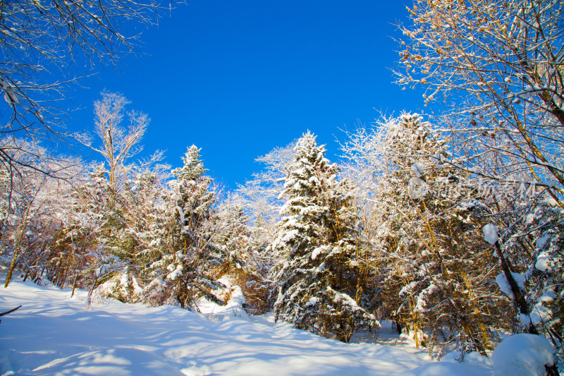 黑龙江 双峰林场 雪乡