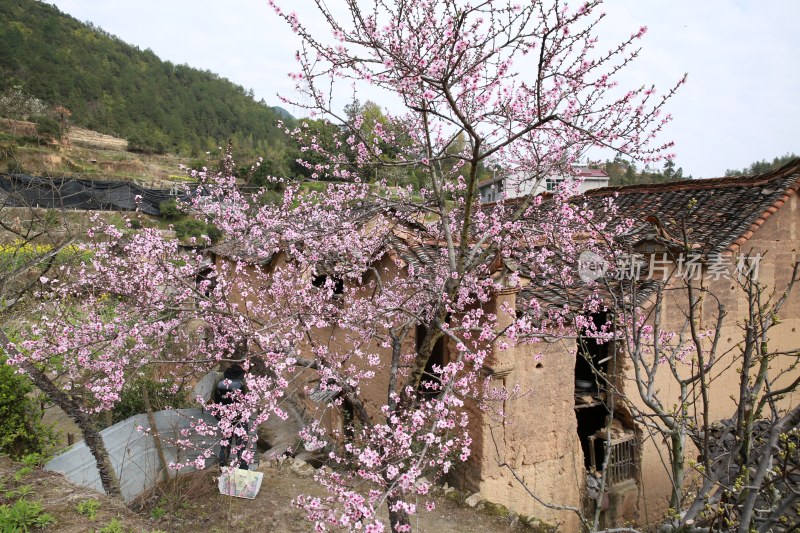 乡村老房风景