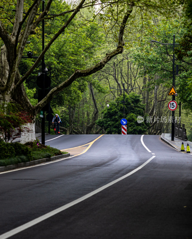 杭州西湖杨公堤道路春色景观