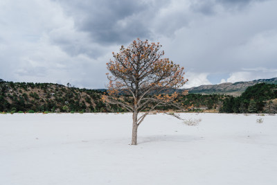 丽江玉龙雪山干河坝