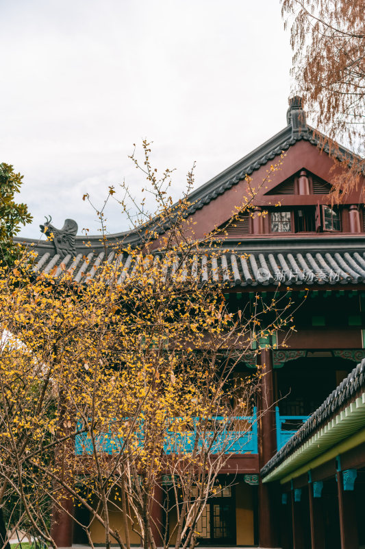 南京师范大学校园