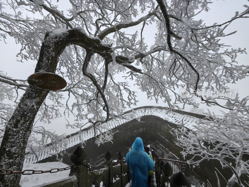 湖北武当山景区冬天大雪雾凇古建筑旅游