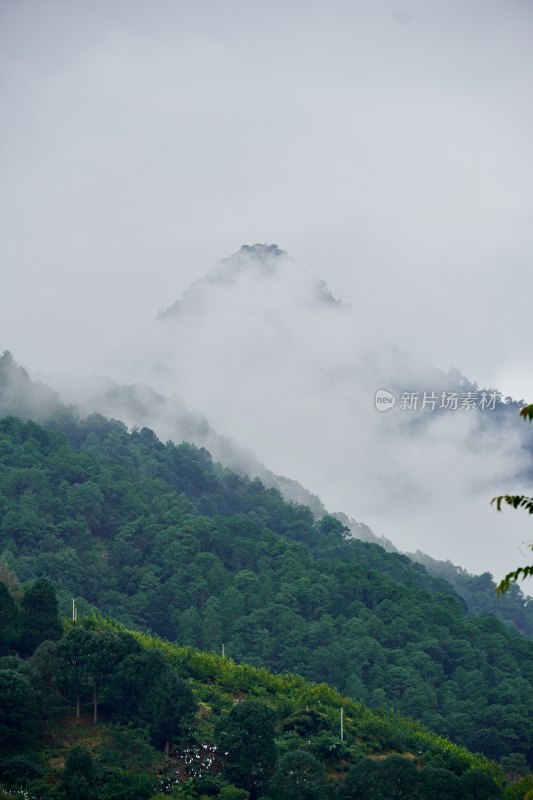 云雾缭绕山水风光