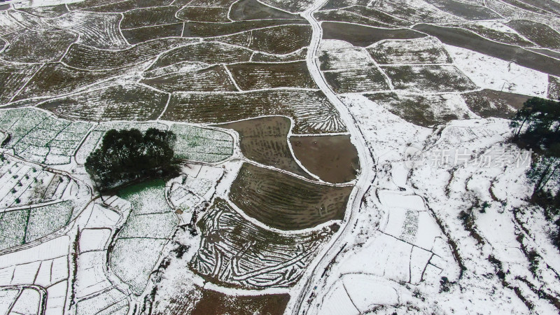 航拍南方乡村田园农田梯田雪景