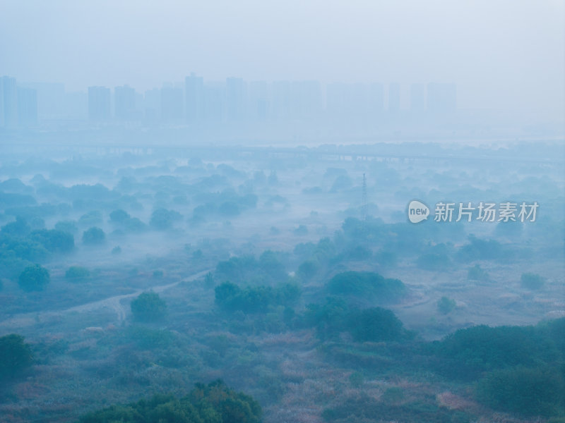 航拍河边湿地清晨的薄雾森林