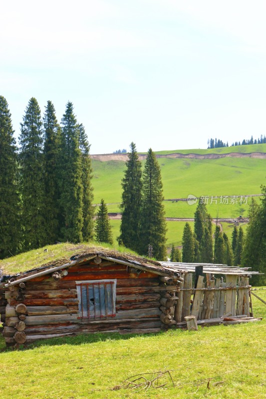 新疆大草原上的木屋、森林与雪山