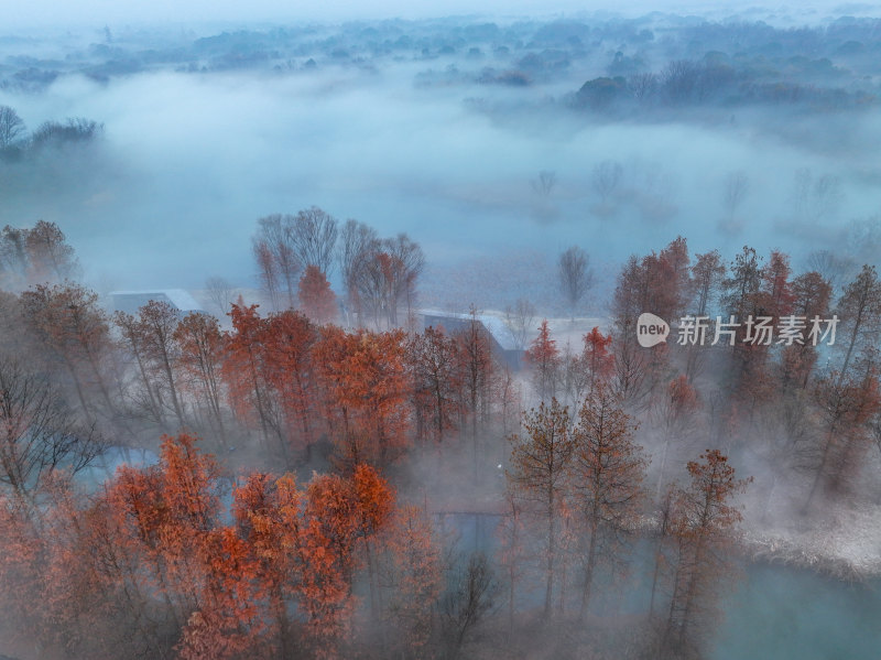 晨雾下的杭州西溪湿地国家公园