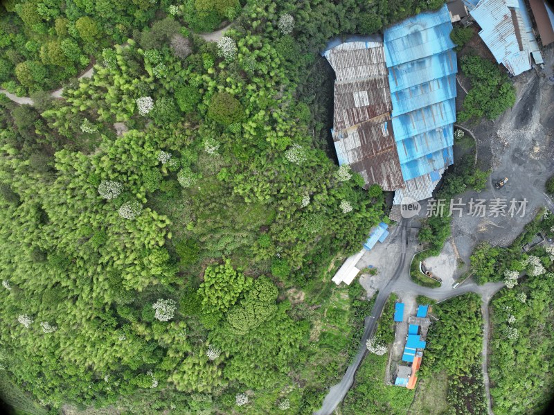 俯瞰山林中的厂房建筑