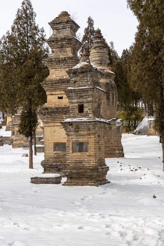 雪后少林寺古塔林景观