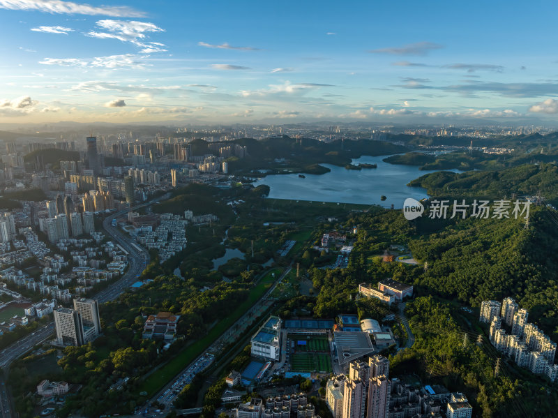 深圳罗湖城市绿洲与高楼林立街道航拍