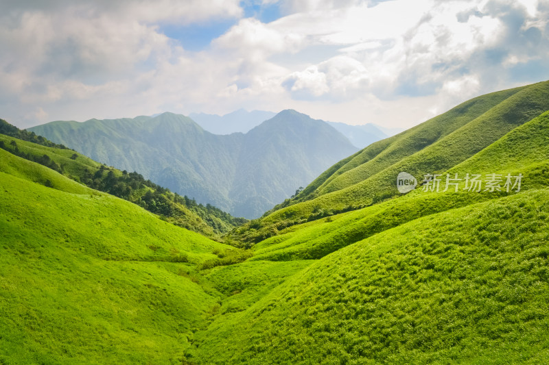 夏天江西武功山的高山草甸