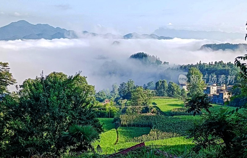 重庆酉阳：近秋的清晨