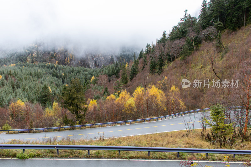 九寨沟秋色，雾中山林公路