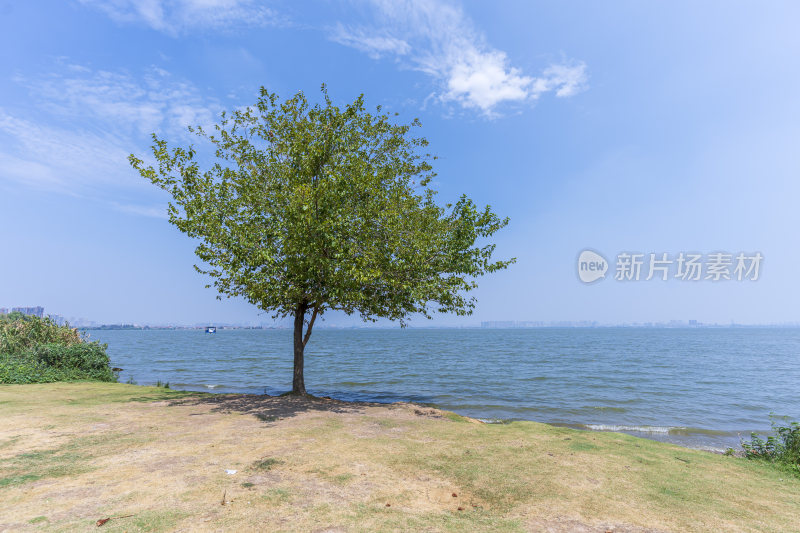 武汉江夏区悦湖公园风景