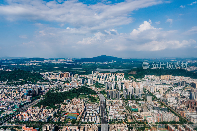 飞机航拍深圳市区城景