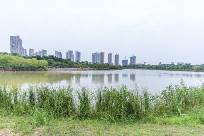 武汉江夏区韵湖湿地公园风景