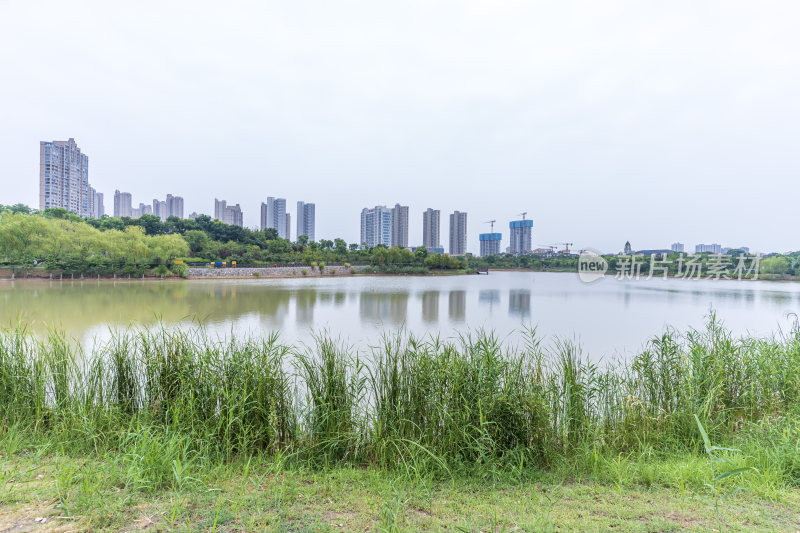 武汉江夏区韵湖湿地公园风景