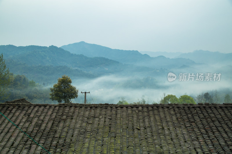 山间农村清晨晨雾