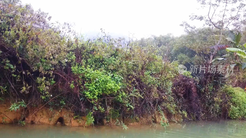 山脉河流植被