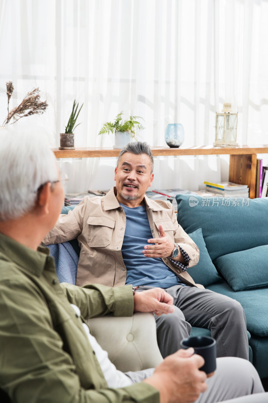 快乐的中老年男士坐在沙发上聊天