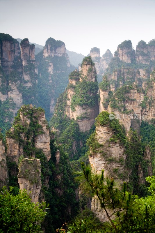 湖南,张家界,天子山,