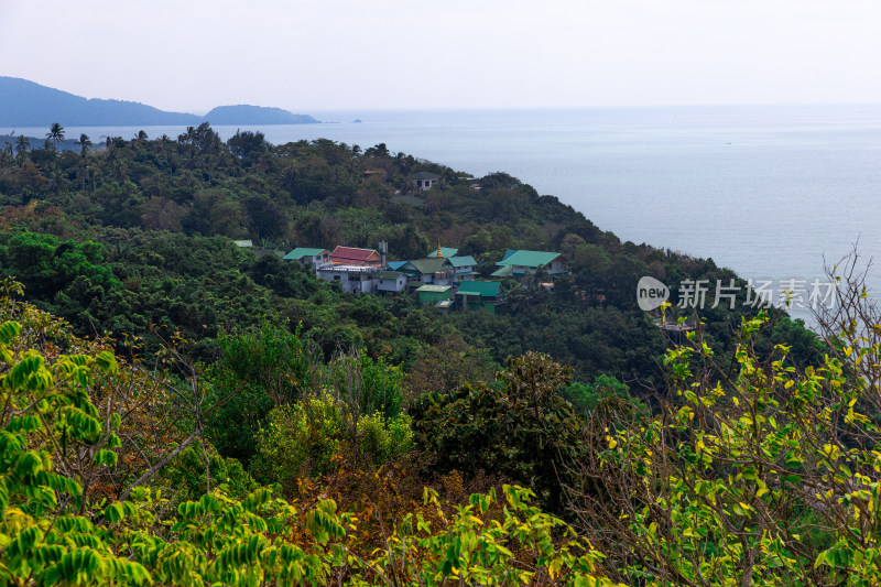 大海自然景色