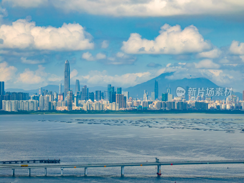 沿海城市的城市风光与桥梁的全景