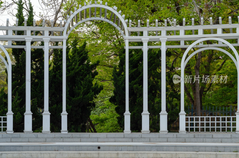 青岛中山公园白色铁艺花架与绿植景观