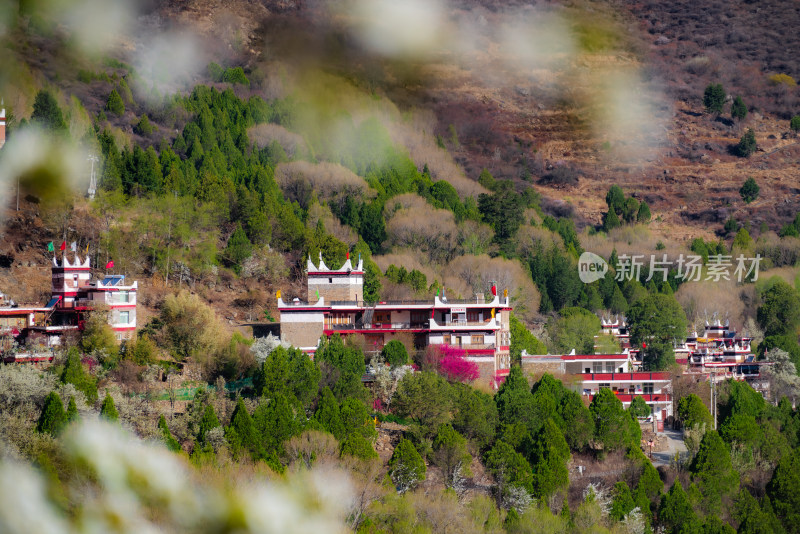 山林间的特色建筑风景