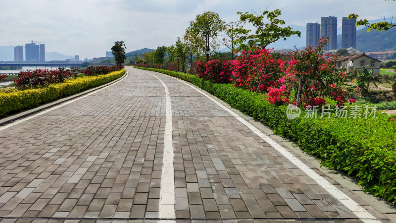 城市旁花卉绿植环绕的步道