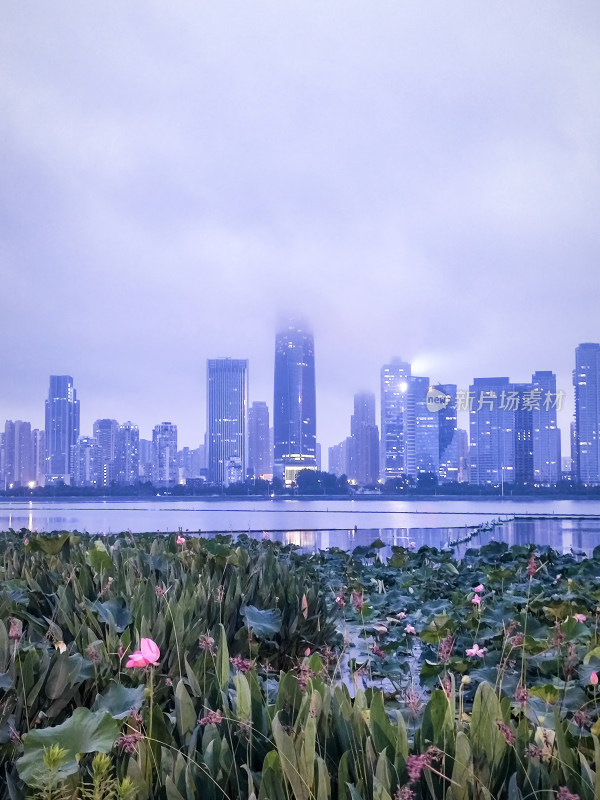 武汉武昌沙湖风景