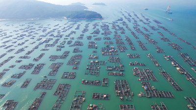 蓝色海洋大海海鲜养殖基地航拍