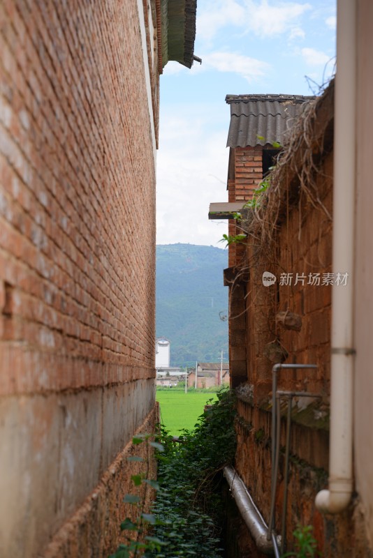 乡村砖墙小巷自然风光